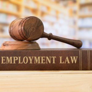 employment law legal employee labour law