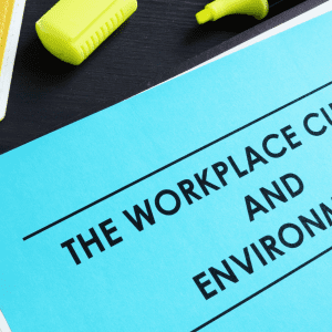 workplace culture and environment to create a successful team and employees that are happy