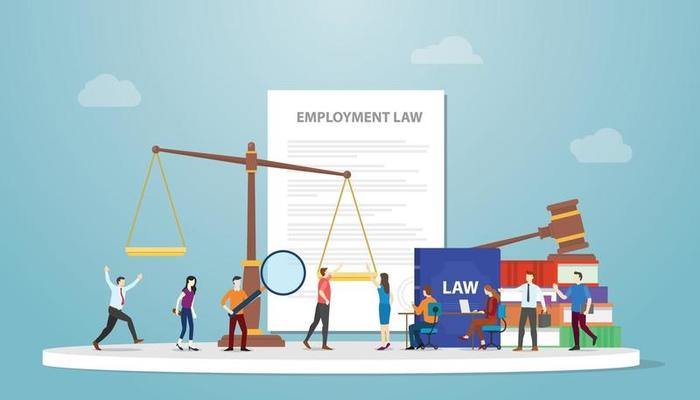 employment law and labour law and navigating employee contracts and disputes