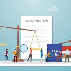 employment law and labour law and navigating employee contracts and disputes