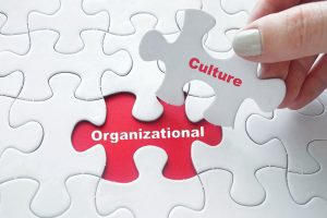 Organisation with the missing piece of culture being the centre of the business