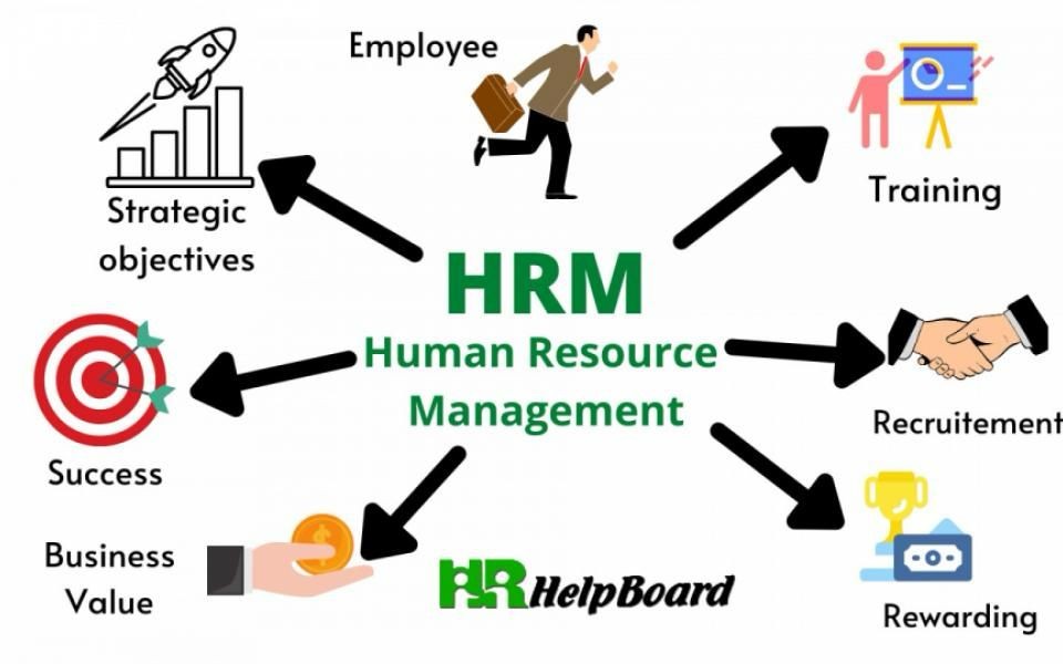 HRM human resources management diagram what is HR