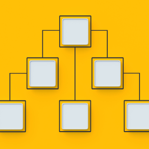 hierarchy management levels senior manager boss supervisor