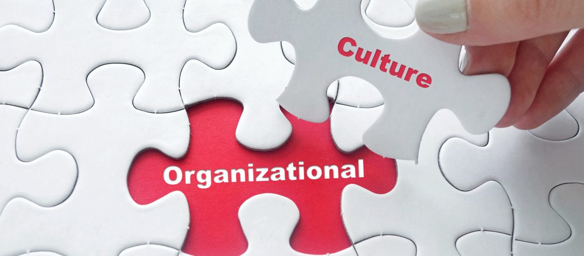 Organisation with the missing piece of culture being the centre of the business