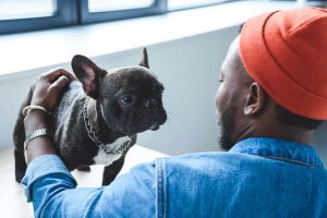 Pets and employees